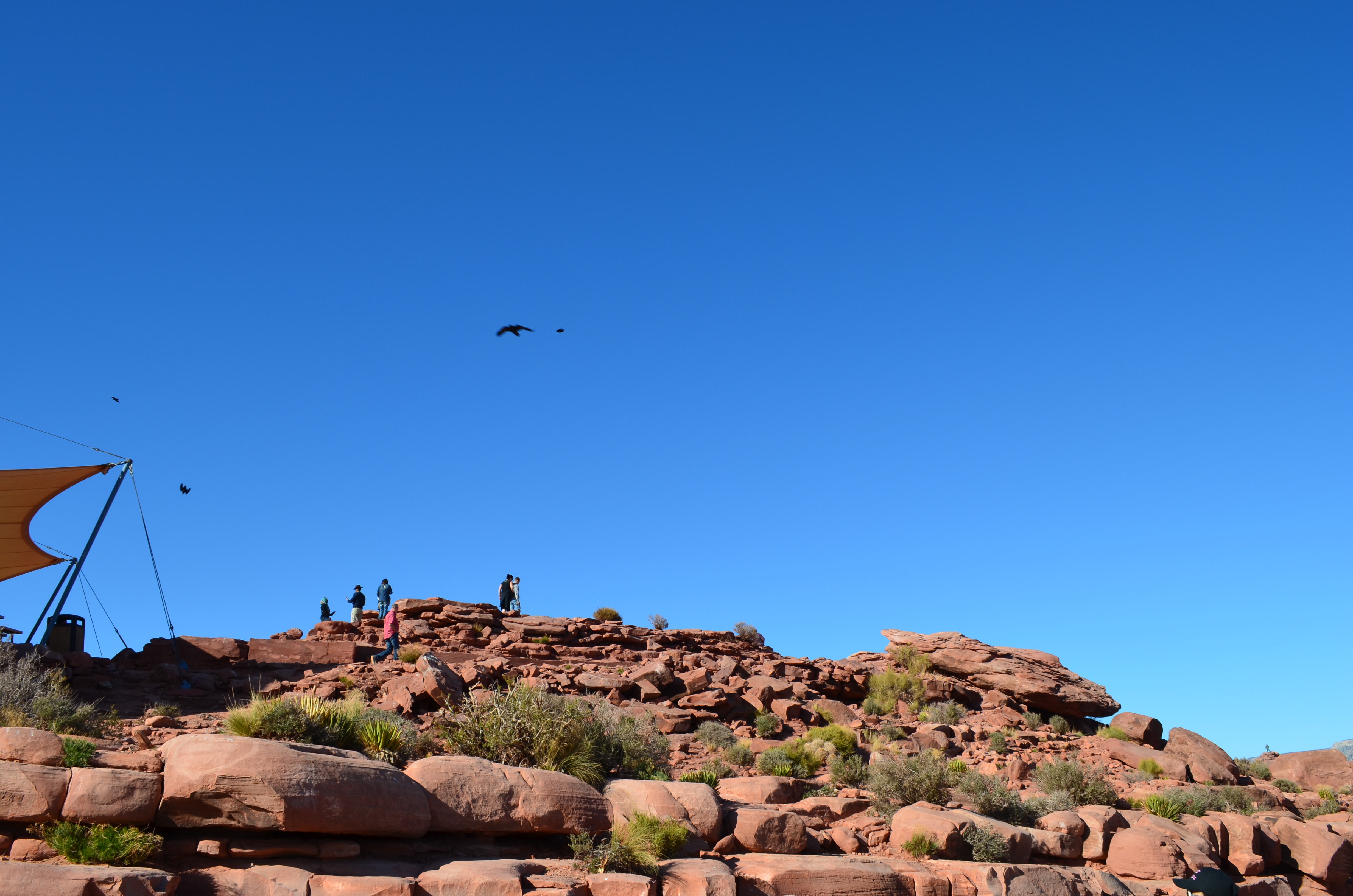./2016/04 - Las Vegas/Grand Canyon Skywalk/DSC_0298.JPG